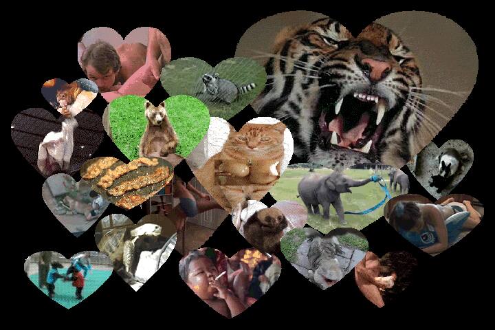 Front left projection from Ungentrified — animated collage.