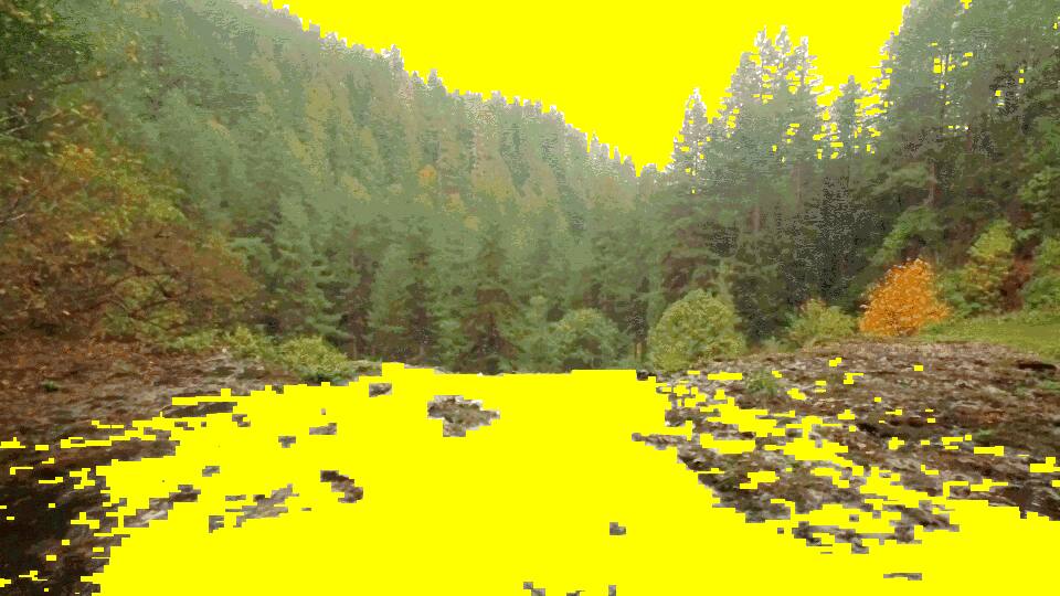 Yellowwhirlaway, right screen — animated collage.