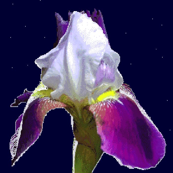 Universal Iris — a square animated collage built around a central eye motif.